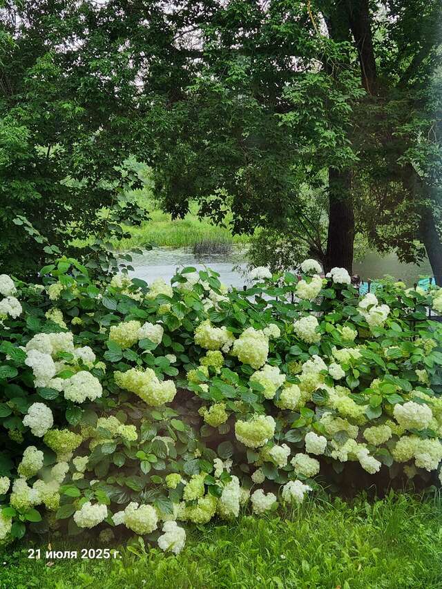 Гостиница Западная Переславль-Залесский-128